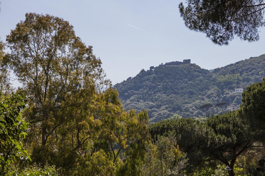 B&B La Contessa Σαλέρνο Εξωτερικό φωτογραφία